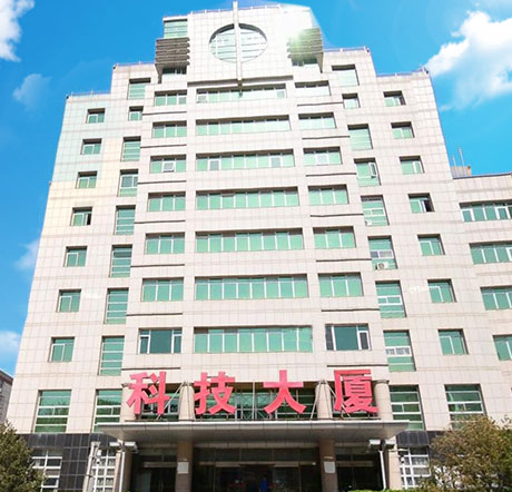 ng电子游戏简介